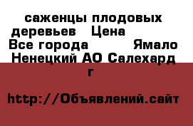 саженцы плодовых деревьев › Цена ­ 6 080 - Все города  »    . Ямало-Ненецкий АО,Салехард г.